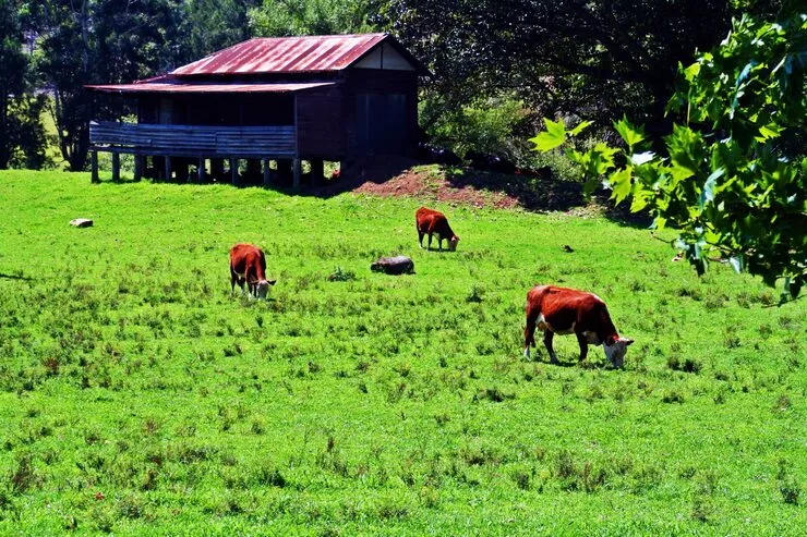 Farm Labor Consultation